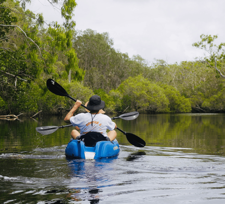 Noosa: Noosa Everglades and Stingray Sanctuary Kayak Tour