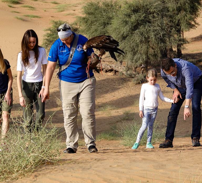 Dubai: Private Falconry Safari