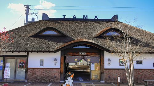 1-day tour to Wakayama & Shirahama hot spring – Visit the cat station master
