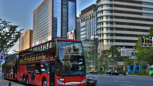 Seoul City Tour Bus Night View Course Transport Passes