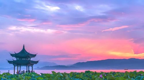 Hangzhou West Lake Scenic Area Rowing Boat (40 minutes) + guide Guide + Leifeng Pagoda admission ticket Half Day