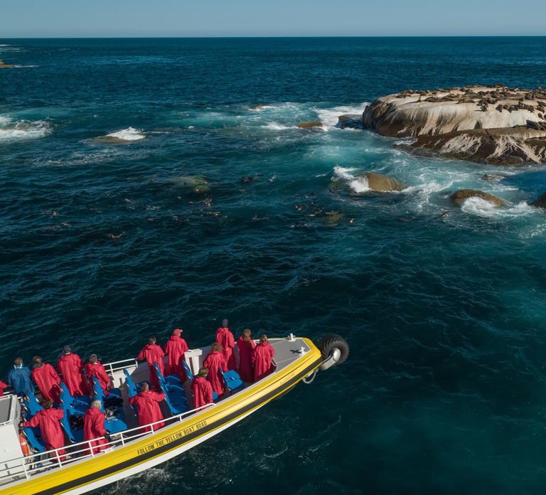 Melbourne: Wilsons Promontory Morning Wilderness Cruise