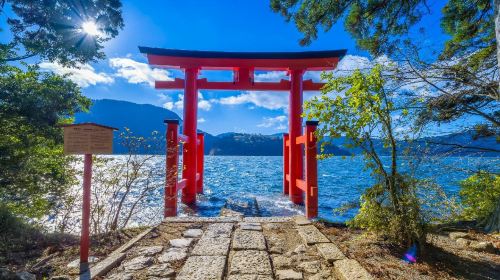 Hakone & Mount Fuji Day Trip from Tokyo (Hakone Shrine&Lake Ashi Floating Torii Gate&Ninja Bus&Hakone Ropeway&Owakudani&Lake Yamanaka | Small Group Max 9 | Hotel Pick-up Option)