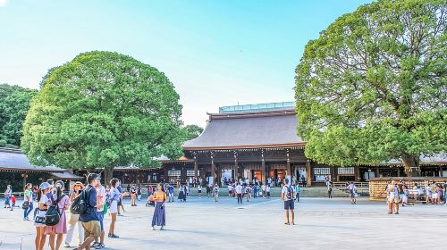 Discover Tokyo, Private Customized Tour with Expert Guides Day Tours