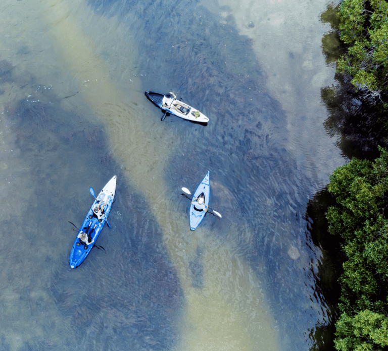 Noosa: Noosa Everglades and Stingray Sanctuary Kayak Tour