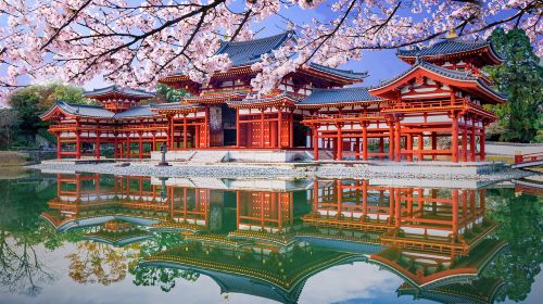 1-day tour in Kyoto and Uji – Kinkaku-ji & Kiyomizu-dera Temple & Byōdō-in - exploring temples and shrines