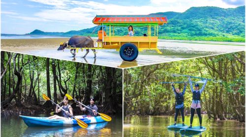 IRIOMOTE ADVENTURE PiPi│Snorkeling / SUP / Canoe / Canyoning / Barasu Island / Yubu Island Tour General Shop - 6hr Kayaking [IRIOMOTE ADVENTURE PiPi] Mangrove SUP or Kayaking & Yubu Island Sightseeing