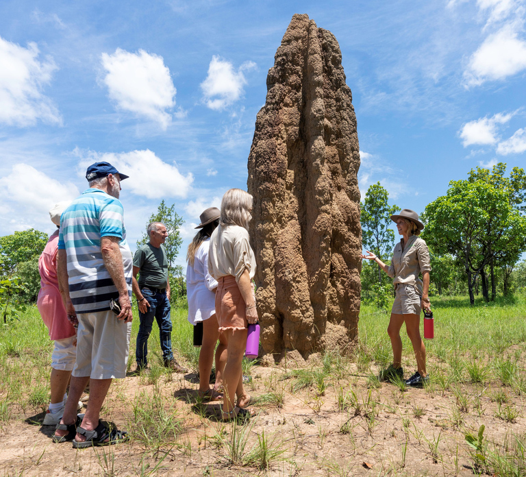 From Darwin: 3-Day Kakadu and Litchfield 4WD Camping Tour