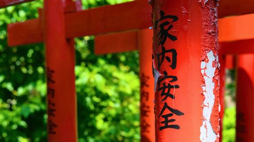 Tokyo: Old Town History Walking Tour(Nezu&Yanaka) Day Tours