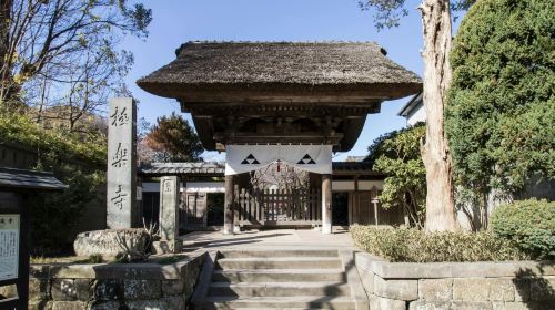 Kamakura full-day tour with private driver and local guide