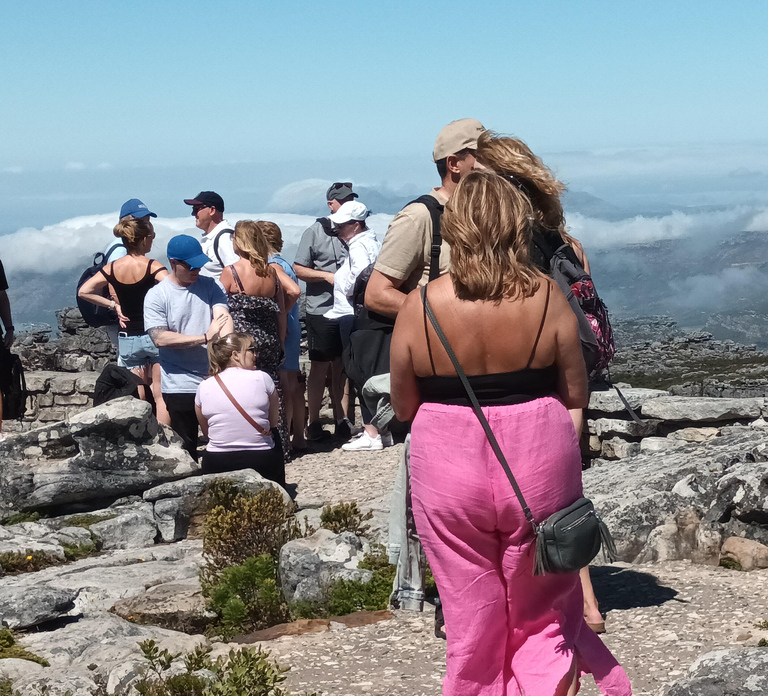Cape Town: Table Mountain Cable Car Ticket