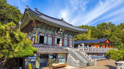 Busan One Day City Tour with Blueline Park Songjeong Beach Train