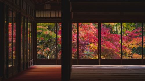 Escape the crowds: Kyoto scenery electric bikes tour