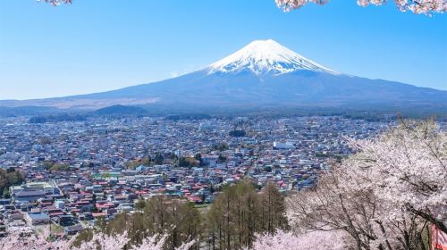 Mt. Fuji Panoramic Ropeway Day Tours
