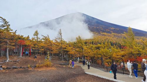 Mt. Fuji 5th Station Climbing Experience · Strolling Through Oshino Hakkai · Healing Hot Spring 1-Day Tour Day Tours
