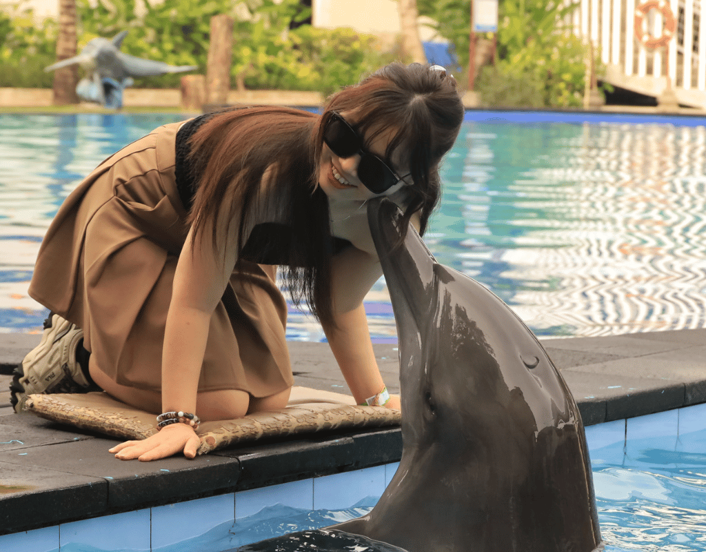 Bali Dolphin: Encounter Program "Playtime with Dolphin"