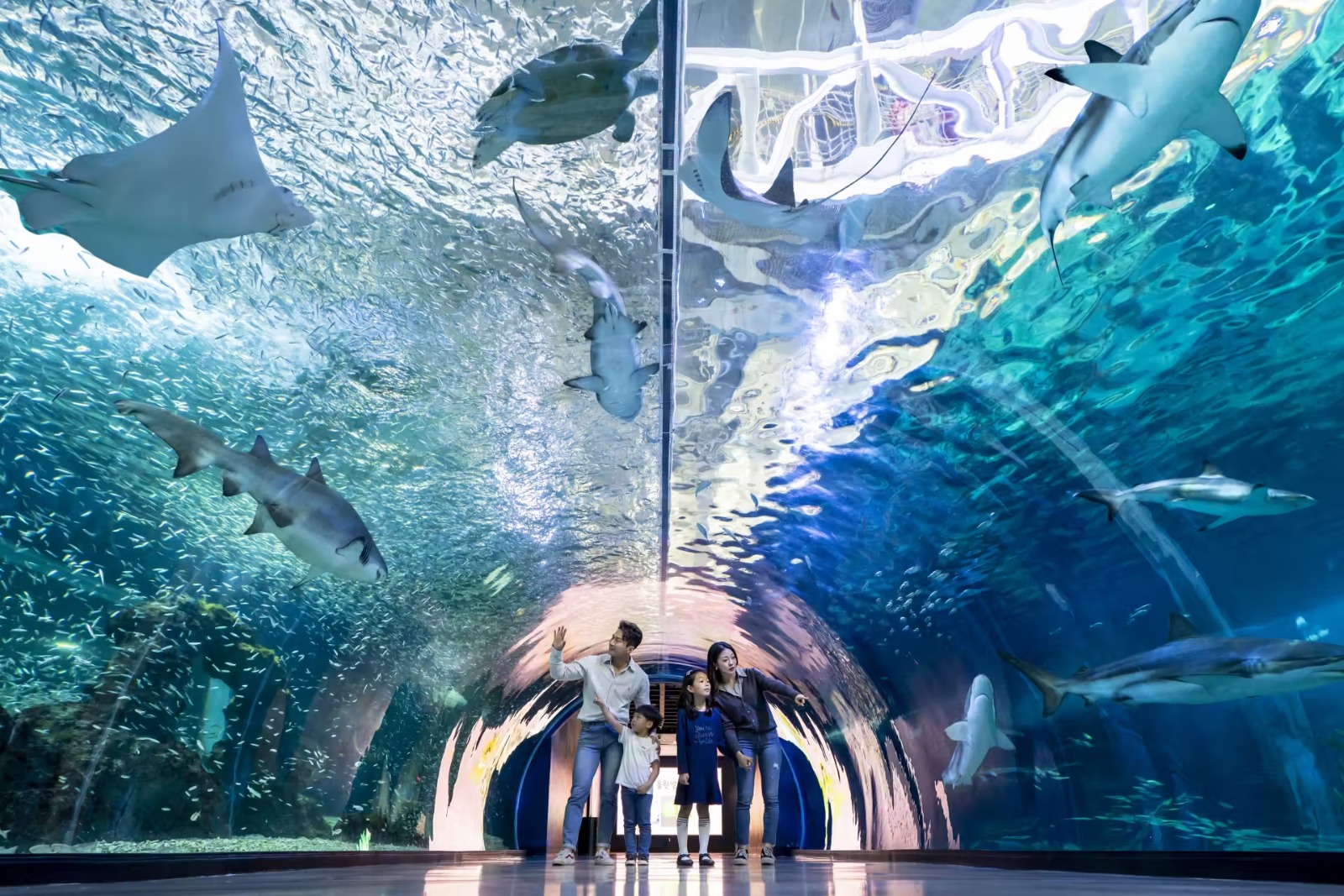 Aqua Planet Jeju