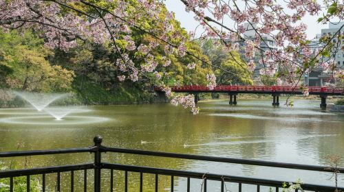 Osaka: Tennoji Ward & Shinsekai Guided Walking Tour Day Tours