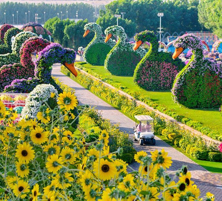 Dubai: Miracle Garden, Global Village, and Dubai Frame