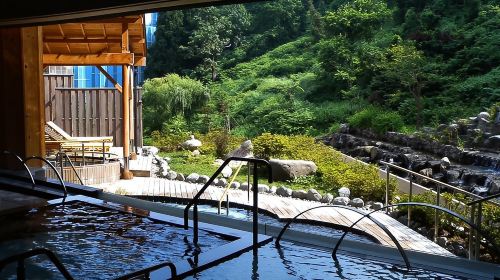 Port Pick-Up: Niigata Private Tour Licensed Guide& Vehicle Day Tours