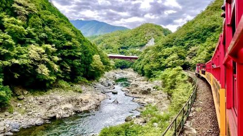 Kyoto Arashiyama Sagano Romantic Train Car No. 5 booking service