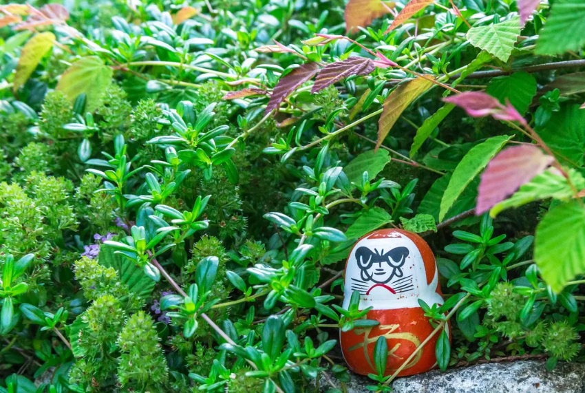 Osaka & Kyoto Scenic Spots Tour – Katsuo-ji Daruma, Kyoto Arashiyama Scenery