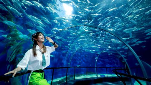 Shanghai Ocean Aquarium