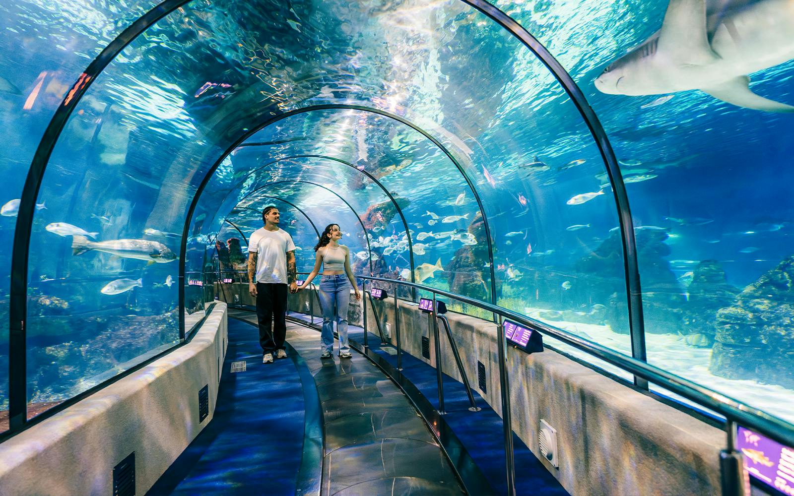 Barcelona Aquarium Skip-the-Line Tickets