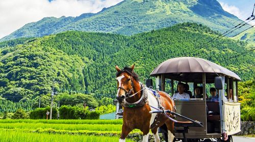 Kyushu Hidden Gems | Yufuin Slow Living, Kinrin Lake's Dreamlike Mist, Kamado Jigoku + Nature Animal Park Day Tours