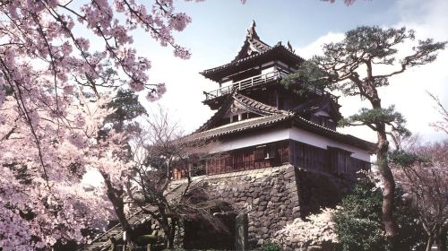Fukui: Maruoka Castle Admission Ticket Day Tours