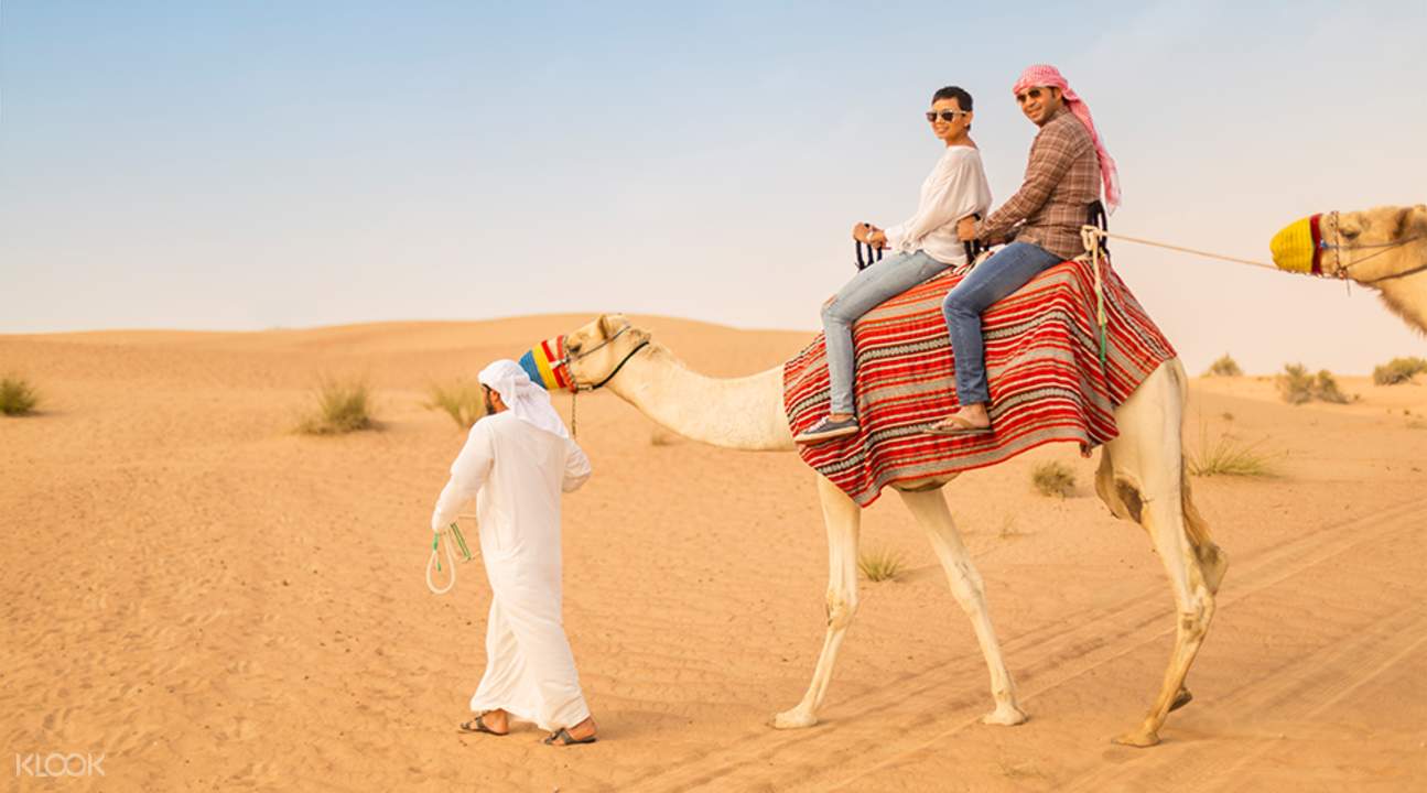 Morning Desert Safari Tour from Dubai