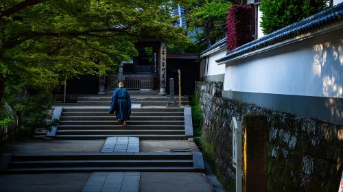 Kamakura: A Journey Through Medieval Japan Day Tours