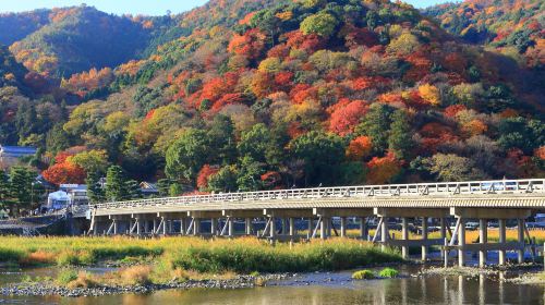Kyoto in a Day: The Ultimate Top 4 Highlights Tour (From Osaka/Kyoto) Day Tours