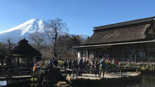 Mount Fuji: Full-Day Guided Tour from Tokyo Day Tours