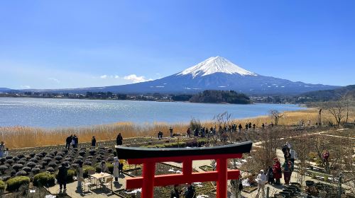 Mount Fuji Private Charter Day Tour [Panoramic Views of Mount Fuji|Hotel transfer service|Attractions in the itinerary can be customized