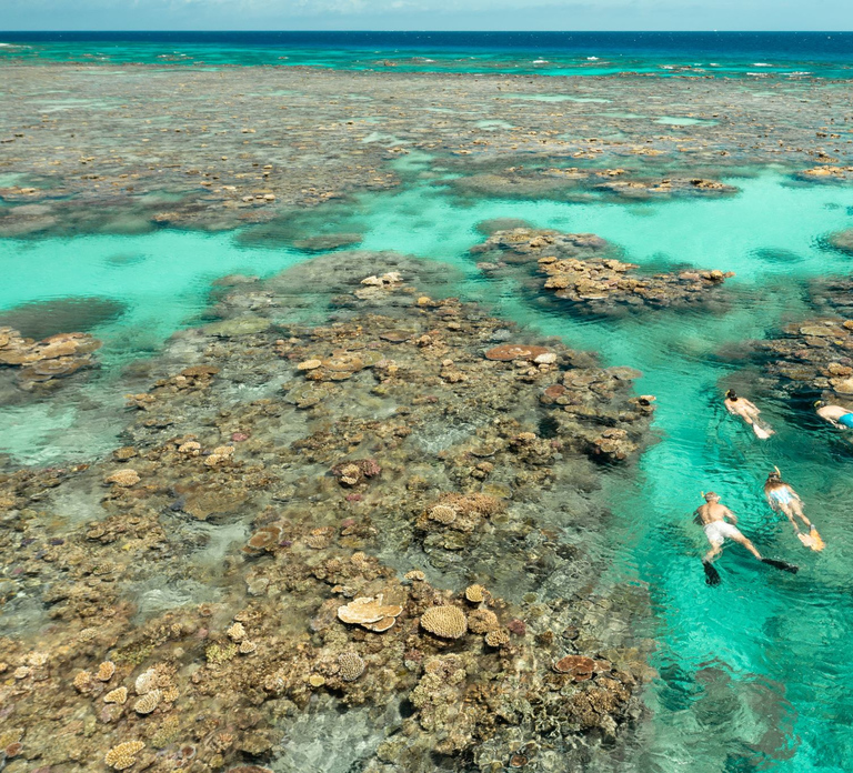 Cairns: Silverswift 3 Great Barrier Reef Sites in 1 Day