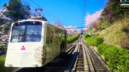 Explore Kyoto's Amanohashidate + Ine Fishing Village + Kayabuki No Sato Day Tour [Three Hidden Scenic Spots] Day Tours