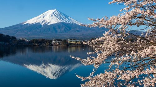 [VIP LINER] Round-trip Tokyo to Kawaguchiko One-Way Express Bus Ticket | Direct from Tokyo Station & Akihabara Station Transport Passes