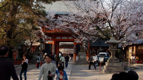 Kyoto Gion Night Walk & Geisha District Guided Tour Day Tours