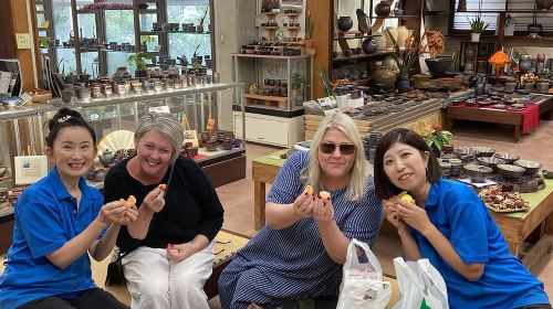 Discover the Wonders of Sakurajima Half Day Tour in Kagoshima Day Tours