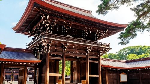 Explore Tokyo with Customizable Itinerary - Private Tour Day Tours