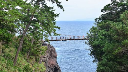 1-Day Small Group Tour to Mt. Omuro, Izu with Scenic Train Ride & Hotel Pick-up