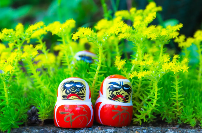 Osaka & Kyoto Scenic Spots Tour – Katsuo-ji Daruma, Kyoto Arashiyama Scenery