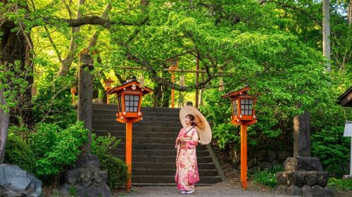 Fuji instagrammable 1-day tour: Arakurayama Sengen Park, Lake Kawaguchi and Oshino Hakkai Day Tours