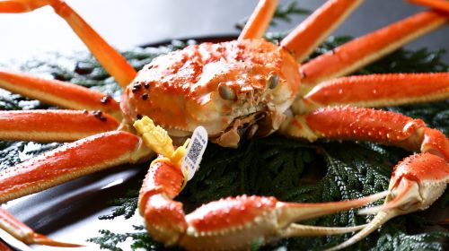 [Echizen Crab · Japanese Private Dining Room Ryugetsutei] [Reservation Only] Echizen Crab Package - Choose One of Three Dining Vouchers