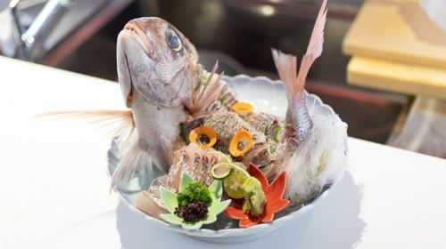 Fresh catch and cook sea fishing experience at Shonai coast in Yamagata Sakata, Japan