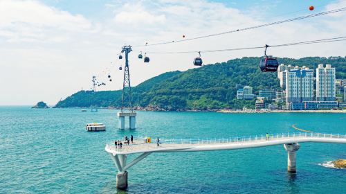Busan One Day City Tour with Blueline Park Songjeong Beach Train