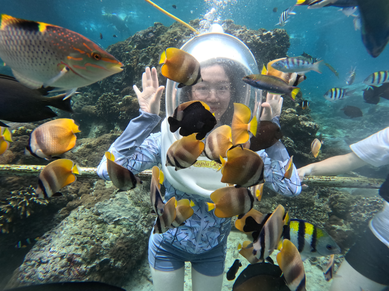 Watersport & Nusa Penida Tours Packages