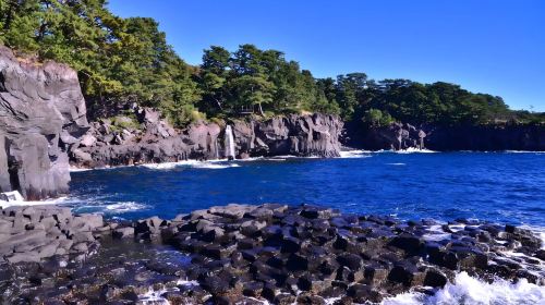 Izu Day Tour from Tokyo: Mount Omuro Ropeway & Shaboten Zoo with Ocean-View Train