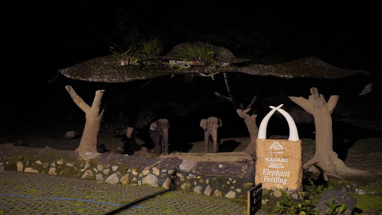 SPECIAL NIGHT SAFARI - THE GRAND TAMAN SAFARI PRIGEN